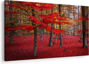 Obraz - Červený les (90x60 cm)