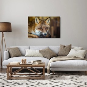 Obraz líšky (90x60 cm)