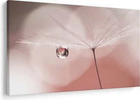 Obraz - Kvapka rosy (90x60 cm)