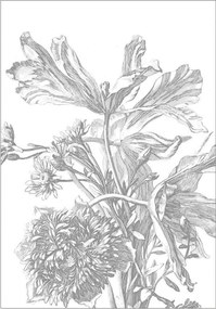 Vliesová tapeta Engraved Flowers