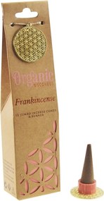 Song of India Organic Goodness Kadidlo