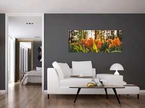 Obraz - oranžové tulipány (120x50 cm)