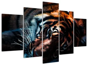 Obraz ležiaceho tigra (150x105 cm)