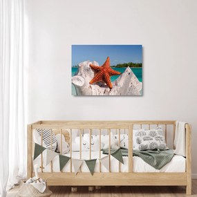 Sklenený obraz morskej hviezdice (70x50 cm)
