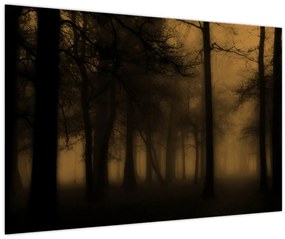 Obraz - Temný les (90x60 cm)