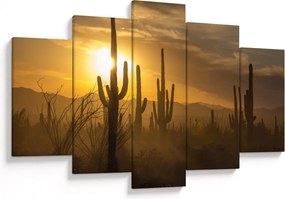 Obraz - Kaktusy Saguaro (150x105 cm)