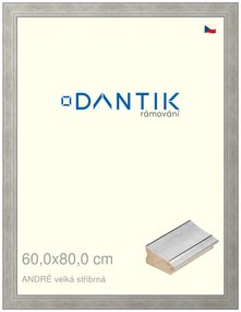 DANTIK rám na obraz 60x80 | ANDRÉ velká stříbrná (Plexi Čiré)