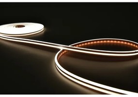 Rabalux 79021 - LED RGBW Stmievateľný pásik STRIP LED/21W/230V 5 m IP67 + DO