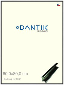 DANTIK rám na obraz 60x80 | ALU Šedá leská (Plexi Čiré)