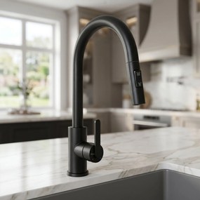 Rea Ontario, vysoká kuchynská batéria s výsuvnou spŕškou, čierna matná, REA-B6571