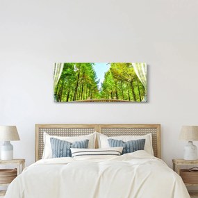 Obraz - Výhľad na les (120x50 cm)
