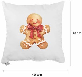 Vianočný vankúš Ginger 40x40 cm EMI
