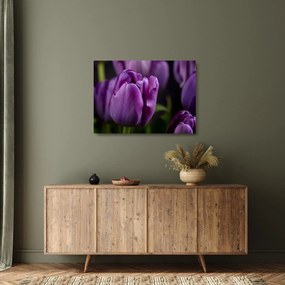 Sklenený obraz kvetov tulipánov (70x50 cm)