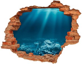 25D diera na stenu Podvodný svet nd-c-72237890