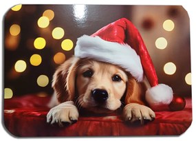 Prestieranie VIANOCE psík