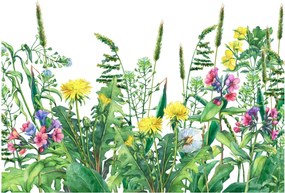 Obraz - Maľované lúčne kvety (70x50 cm)