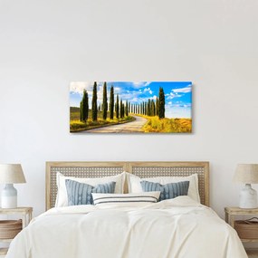 Obraz - Krajina (120x50 cm)