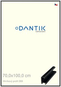 DANTIK rám na obraz 70x100 | ALU Černá matná (Plexi Čiré)