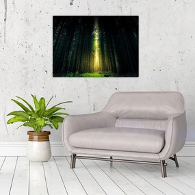 Sklenený obraz temného lesa (70x50 cm)