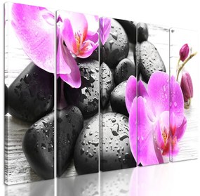 5-dielny obraz harmónia orchidey a kameňov