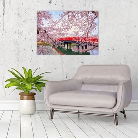 Sklenený obraz - Hirosaki, Japonsko (70x50 cm)