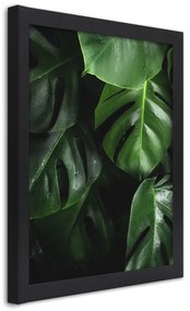 Gario Plagát Šťavnatá zelená Farba rámu: Čierna, Rozmery: 70 x 100 cm