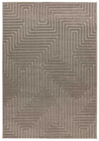 Lalee Kusový koberec Viva 403 Silver Rozmer koberca: 120 x 170 cm