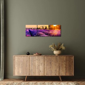 Obraz levanduľového poľa (s hodinami) (90x30 cm)