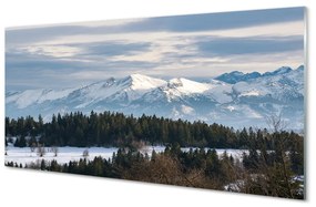 Obraz plexi Horské zimné 120x60 cm