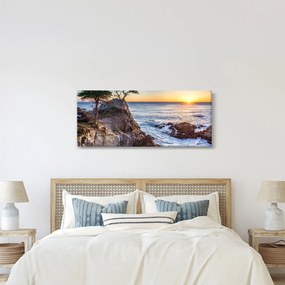Obraz - Pacifické pobrežie (120x50 cm)