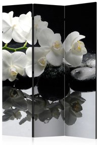 Artgeist Paraván - Spa, Stones and Orchid [Room Dividers]