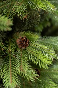 Vianočný stromček- Jedľa Pola premium 3D so šiškami- 170cm