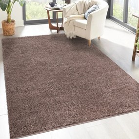 Dekorstudio Shaggy koberec CITY 500 hnedý Rozmer koberca: 200x290cm