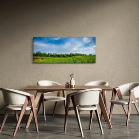 Obraz lúky (120x50 cm)
