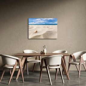 Obraz - Mušle na pláži (70x50 cm)