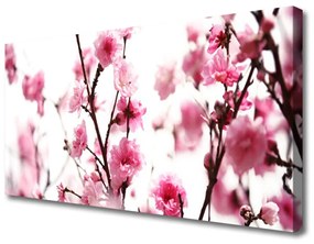 Obraz na plátne Vetvy kvety rastlina 120x60 cm