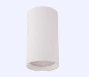 Stropné svietidlo Daria biele 03944