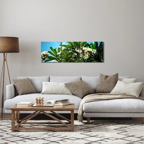 Obraz - Plumeria (s hodinami) (90x30 cm)