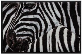 Premium rohožka- zvieratá - zebra (Vyberte veľkosť: 85*55 cm)