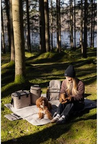 Béžová chladiaca taška 9 l City – Sagaform