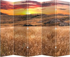 Paraván - Pole (210x170 cm)