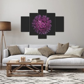 Obraz fialovej kvetiny (150x105 cm)