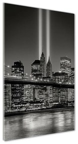 Vertikálny foto obraz akrylový Manhatttan Nový York oav-81398943