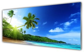 Obraz plexi Pláž more palma krajina 125x50 cm