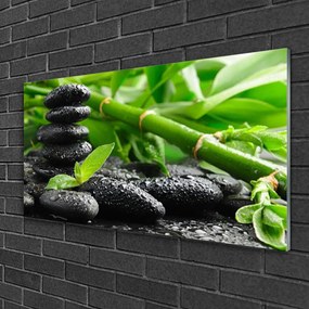 Obraz na skle Bambus kamene rastlina 120x60 cm