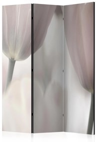 Artgeist Paraván - Tulips fine art - black and white [Room Dividers]