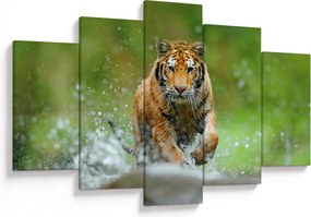 Obraz - Bežiaci tiger (150x105 cm)