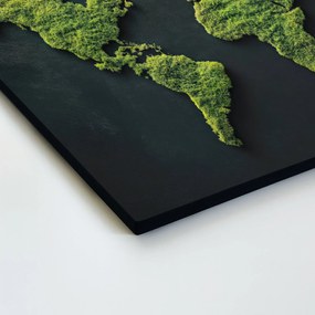 DUBLEZ | Drevený obraz - Machová mapa sveta