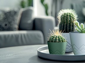 Kvetináč Areca - výber z 6 prevedení