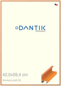 DANTIK rám na obraz 42x59,4 | ALU Dýha barevná oranžová (Plexi Čiré)
